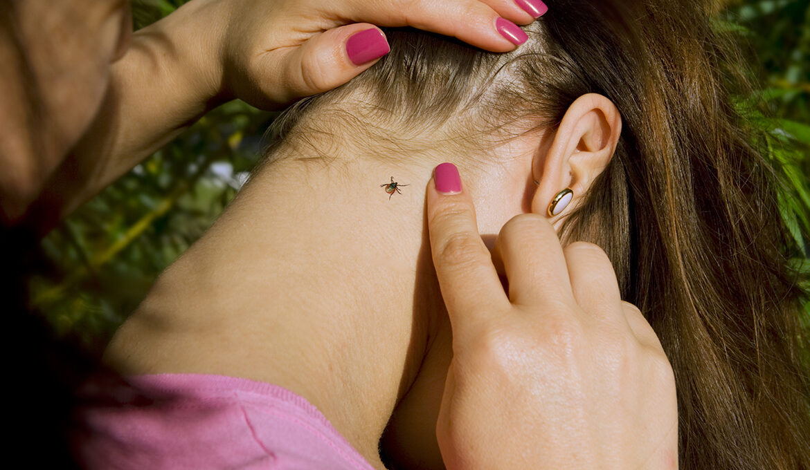 Що робити, якщо вас укусив кліщ